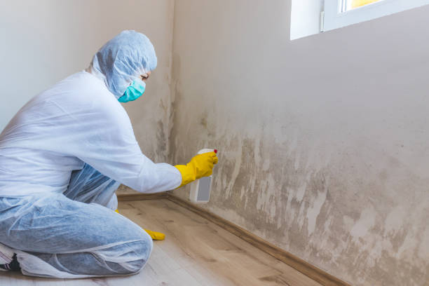 Crawl Space Mold Remediation treatment of floor joists in Lawrenceville