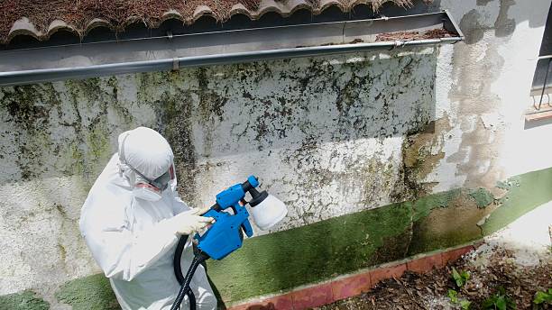 Mold Remediation service in Lawrenceville, Lawrenceville, VA